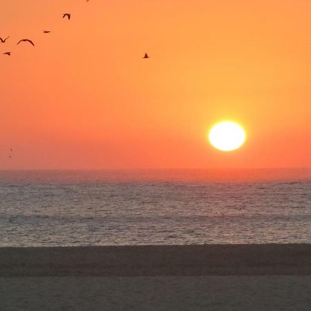 Studio Serenabeach Nazare Bagian luar foto